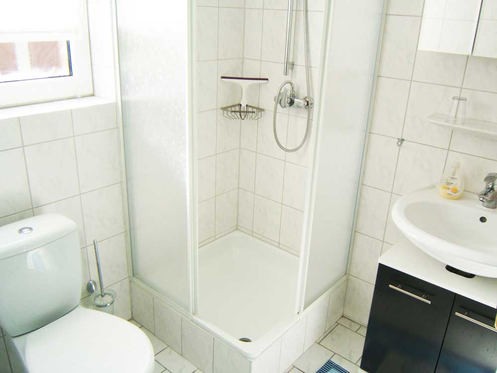 Badezimmer (Erdgeschoss): Dusche, WC